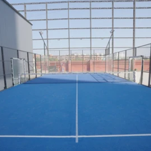 amenities at spr city sports area - 3 bhk apartment
